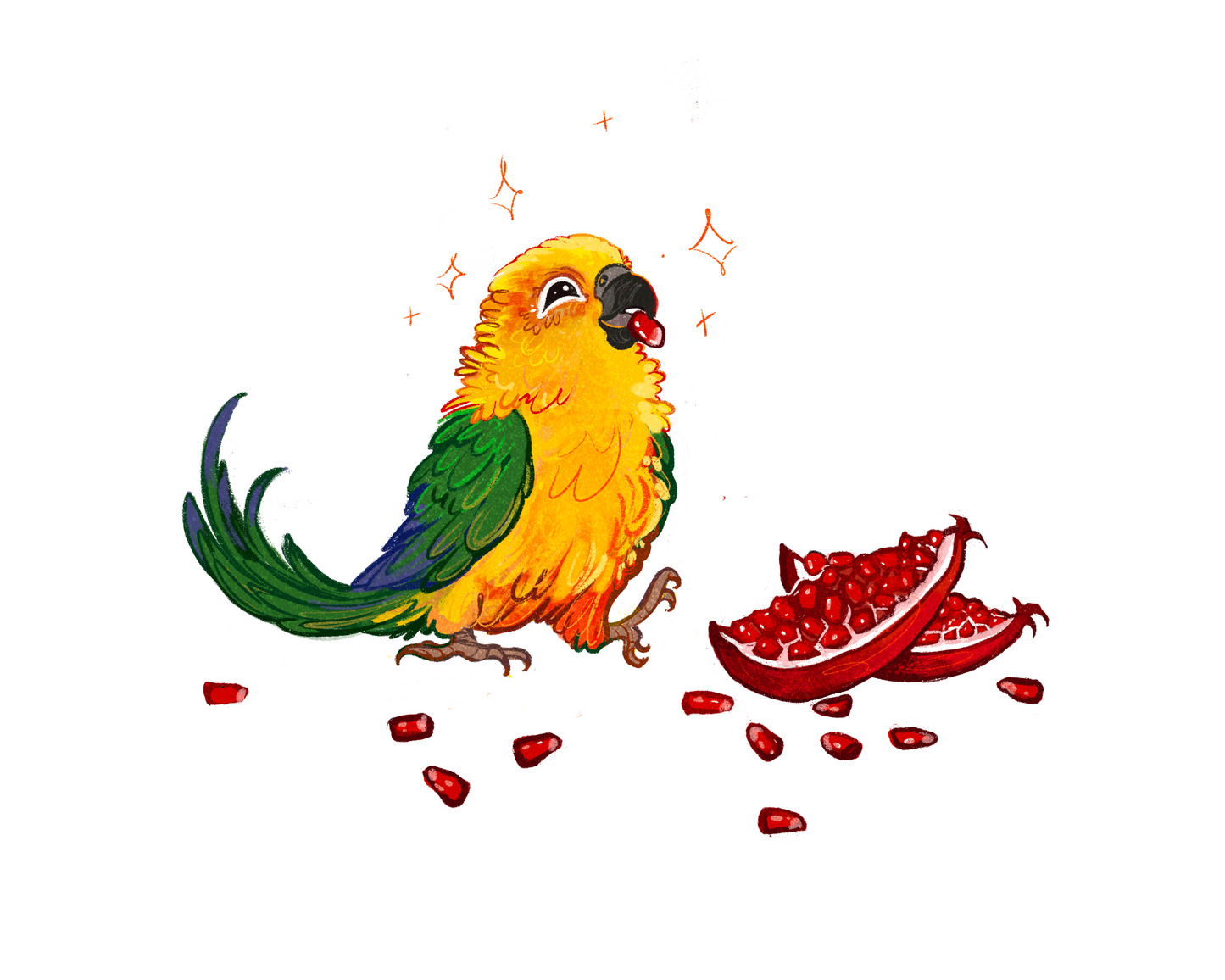 Lil Parrot Print
